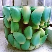 Cách làm tỏi xanh trung quốc