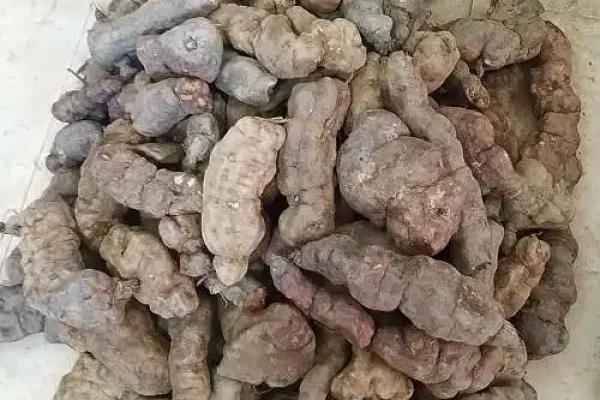 Cách làm dầu gội đầu hà thủ ô dưỡng đen tóc